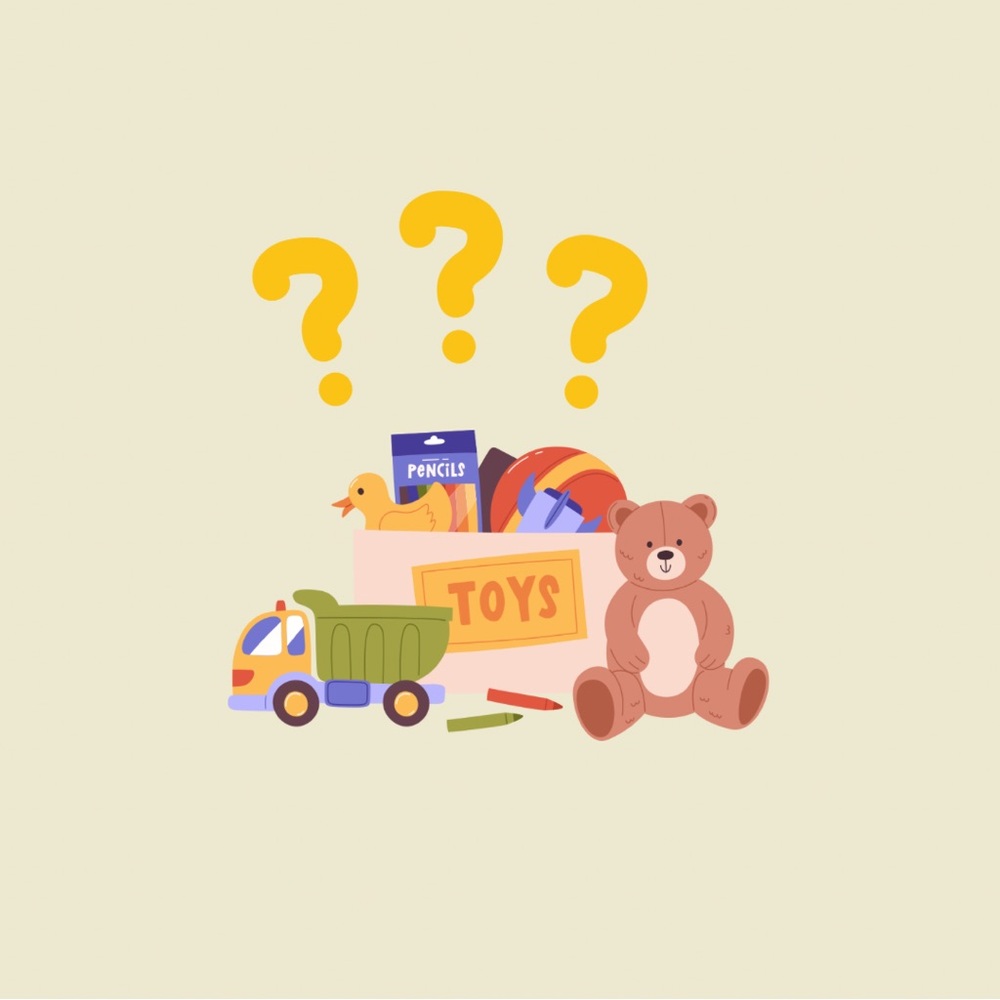Mystery Toy Bundle